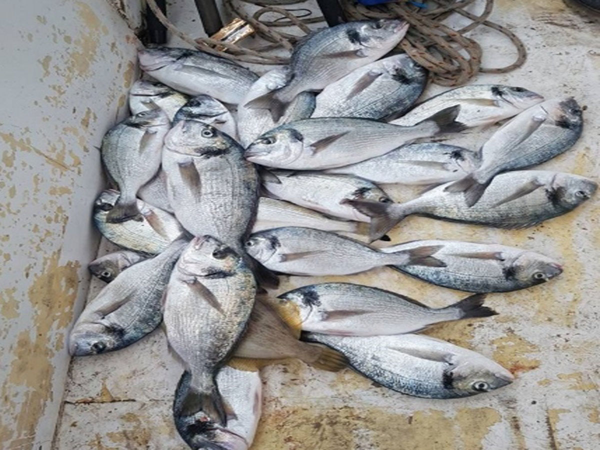 boat fishing trip