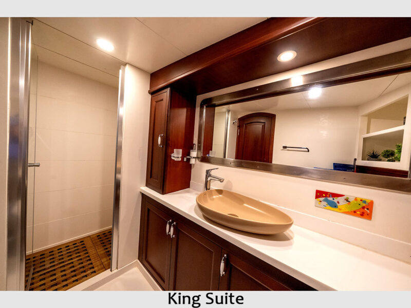 Virtuoso gulet interior king suite bathroom