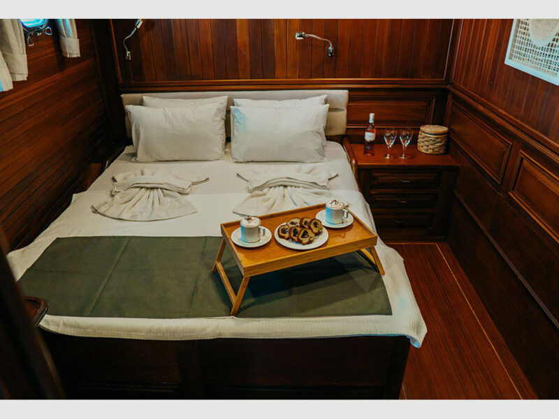 Wicked Felina gulet interior double cabin