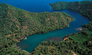 longoz-tuzla-koyu