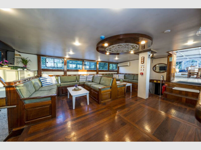 Holiday 10 charter gulet interior saloon entrance