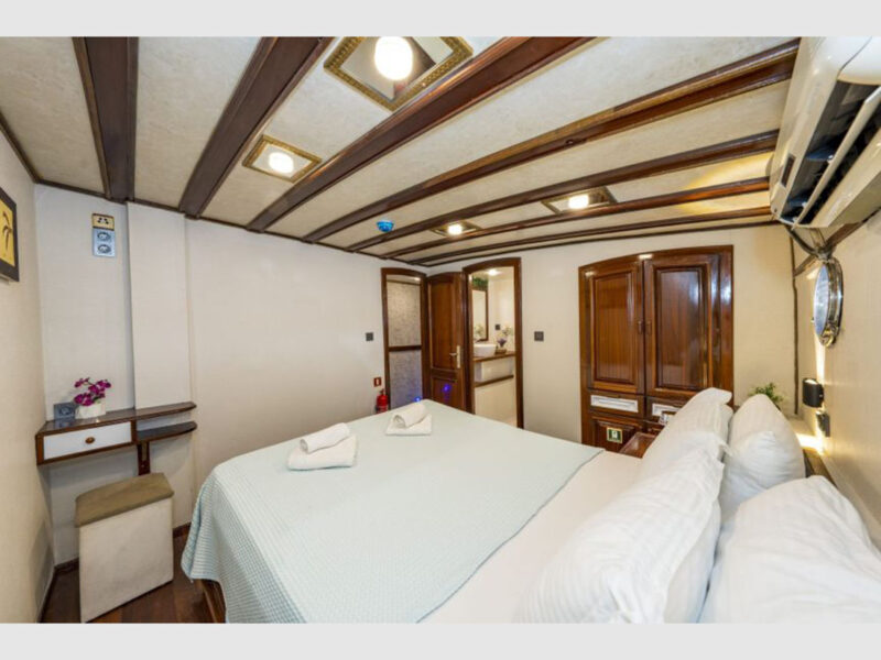 Holiday 10 charter gulet interior double cabin