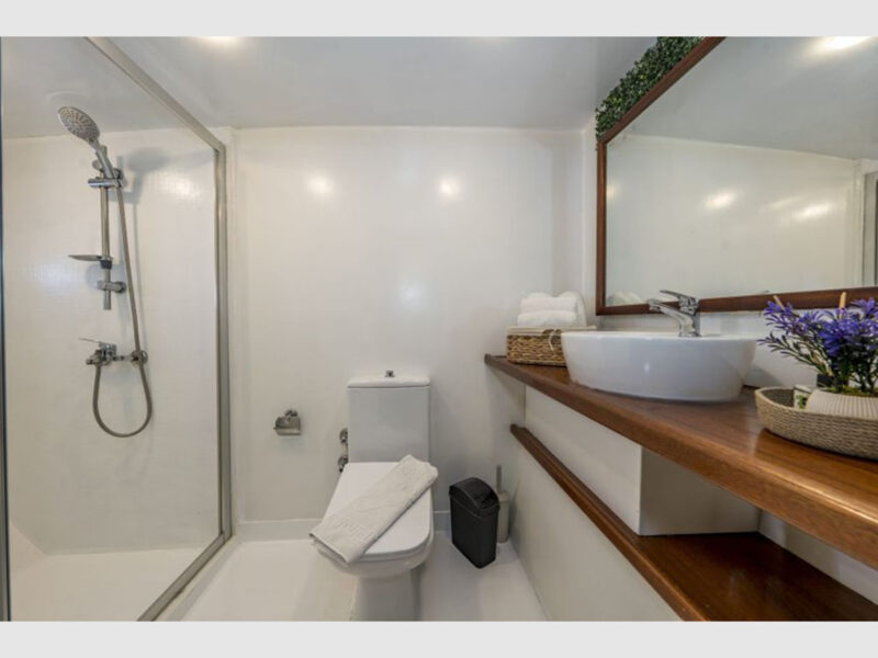 Holiday 10 charter gulet interior double cabin bathroom