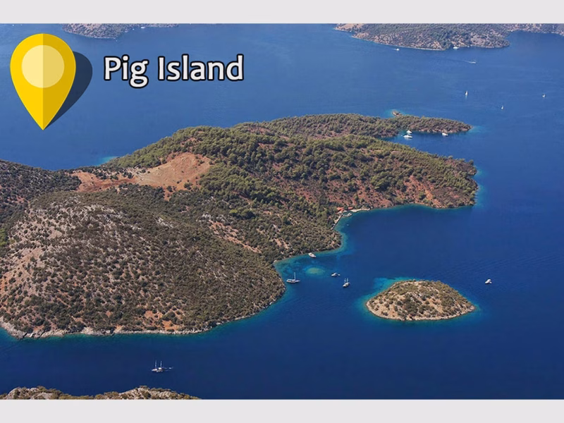 Fethiye 12 Adalar tekne turu durak Domuz Adası