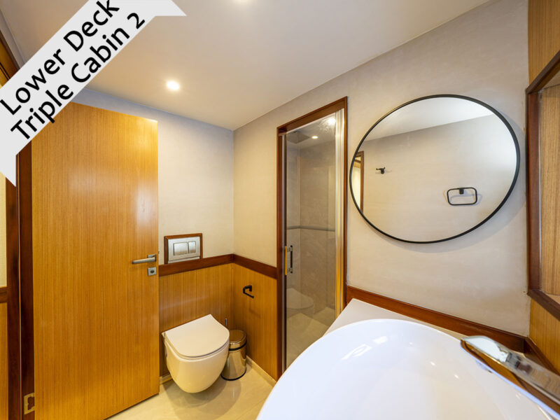 Lila trawler Fethiye kiralık motoryat iç mekan triple kabin 2 banyo