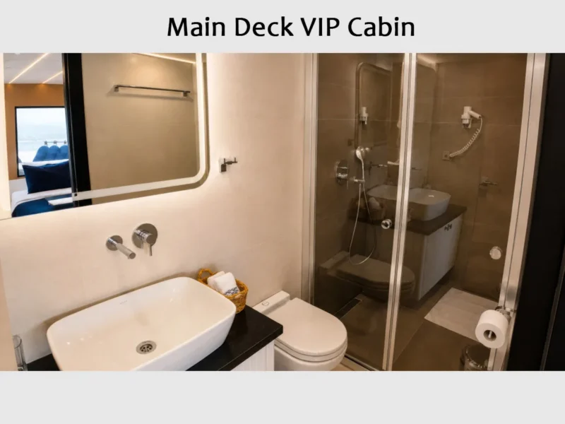 Beluga 1 trawler iç mekan ana güverte VIP kabin banyo